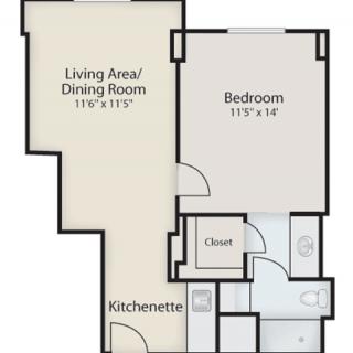 One-bedroom apartment floor plan with living/dining area, kitchenette, bathroom, and closet.