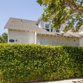 A sunny day view of a residential house partially obscured by a tall hedge with trees in the foreground.