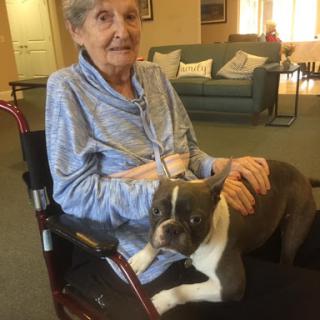An elderly woman enjoying the company of her dog while seated comfortably in a wheelchair.