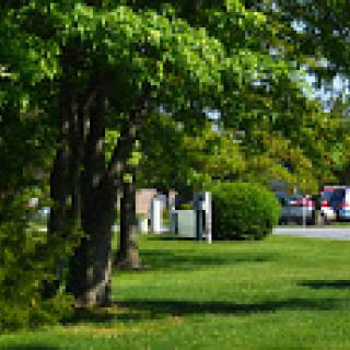 A peaceful outdoor scene featuring lush green trees and manicured grass.