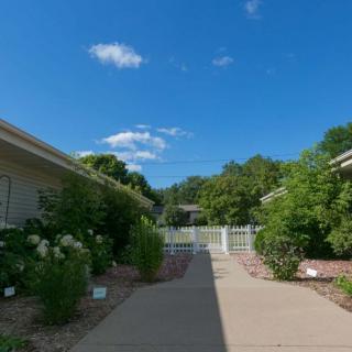 A peaceful pathway lined with greenery on a clear, sunny day.