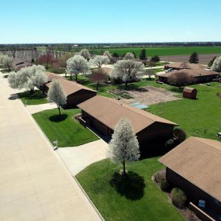 A serene aerial view of a residential area surrounded by lush greenery and blossoming trees in spring.