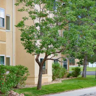An apartment building surrounded by trees and well-maintained landscaping.