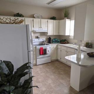 A modern kitchen with white cabinets and appliances, featuring a clean design and decorative plants.
