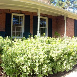 Wisdom Well Living LLC