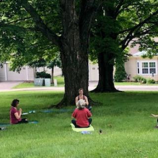 Individuals practicing yoga and meditation beneath a large tree in a serene outdoor setting.