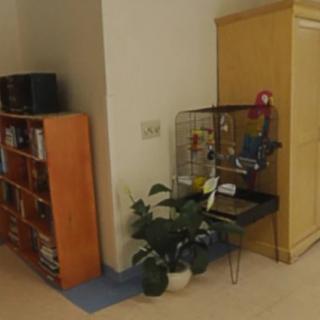A cozy room corner featuring a bookshelf, birdcage, and potted plant.