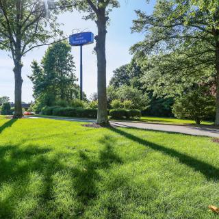 A sunny landscape with lush green grass and tall trees, featuring a roadside sign in the background.
