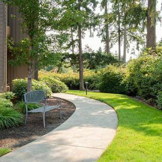 A serene garden pathway bordered by lush greenery and a bench.