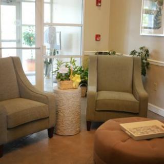 A cozy waiting room with two armchairs, a decorative table, and indoor plants illuminated by natural light.