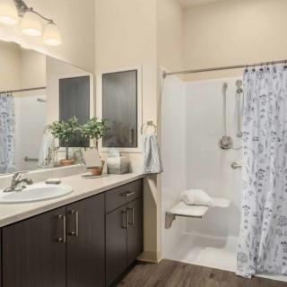 A modern bathroom featuring a large sink and mirror, with a shower area enclosed by a decorative curtain and complemented by potted plants on the counter.