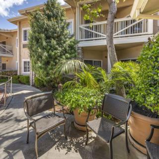 A sunny courtyard with chairs and lush potted plants outside a multi-story building.