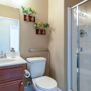 A modern bathroom featuring a toilet, shower, and a vanity with a sink, complemented by decorative wall plants.