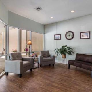 A cozy waiting room featuring comfortable seating, natural light, and decorative elements.
