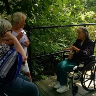A group of people having a conversation outdoors, with one person in a wheelchair surrounded by greenery.