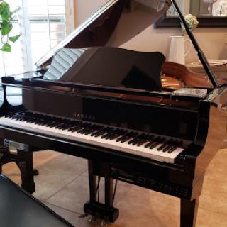 A beautifully polished grand piano set in a cozy indoor space.