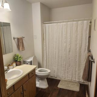 A clean and tidy bathroom with essential amenities including a sink, toilet, and shower.