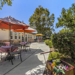 A sunny outdoor patio with tables, chairs, and umbrellas surrounded by greenery.