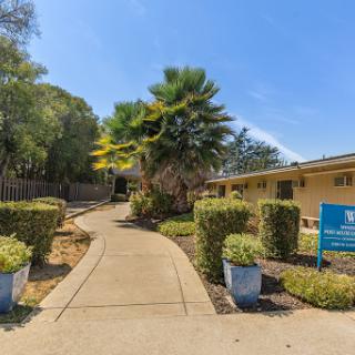 A serene pathway leading to a building, surrounded by lush greenery and a clear blue sky.