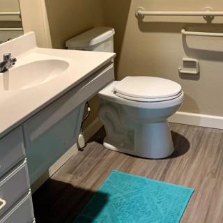 A clean and accessible bathroom with a toilet, sink, and teal mat.