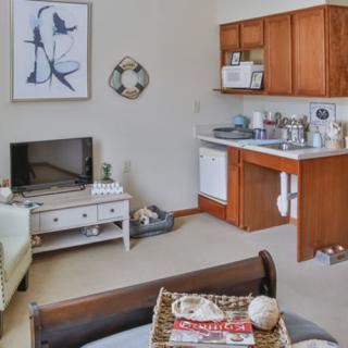 A cozy living room with an open kitchen space, featuring a TV, couch, and decorative elements.