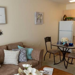 A cozy apartment living space with a sofa, dining table, and kitchen area featuring decorative elements.