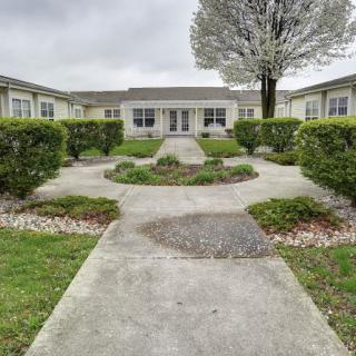 A serene courtyard with pathways surrounded by hedges and a central tree.