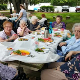 A group of seniors enjoying a picnic outdoors, surrounded by trees and sunlight.