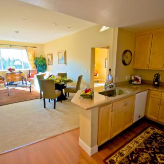 A spacious open floor plan featuring a kitchen and dining area with abundant natural light.