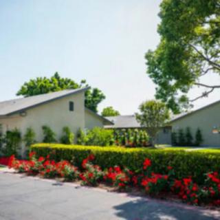 A suburban house with a vibrant garden full of red flowers and lush green trees.