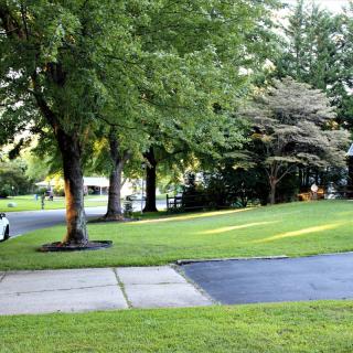 A quiet suburban neighborhood with a tree-lined street and neatly maintained lawns.