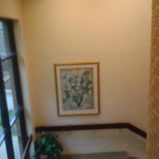 A staircase landing featuring a framed artwork on the wall and a potted plant by the window.