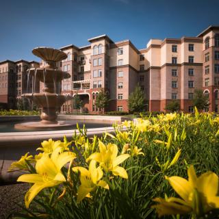 A picturesque view of modern apartments with a fountain and blooming yellow flowers in the foreground.