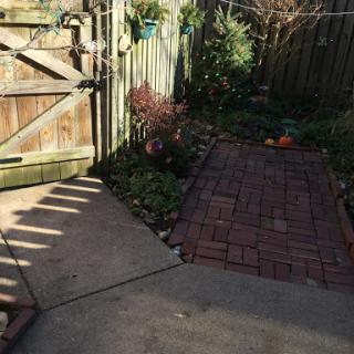 A serene garden pathway leading through a wooden gate, bathed in sunlight and surrounded by lush greenery.