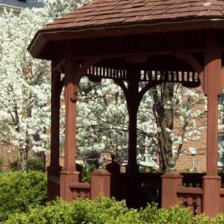 A wooden gazebo surrounded by lush greenery and blooming trees in spring.