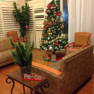 A cozy living room decorated for the holidays with a beautifully lit Christmas tree and comfortable seating.