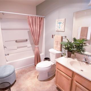 A neatly organized bathroom featuring a shower with a pink curtain, a toilet, and a vanity with a mirror and decorative plants.