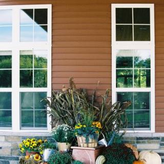 A charming house facade with large windows framed by an array of decorative plants and vegetables.