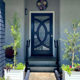 A welcoming home entrance with a stylish front door and decorative plants.