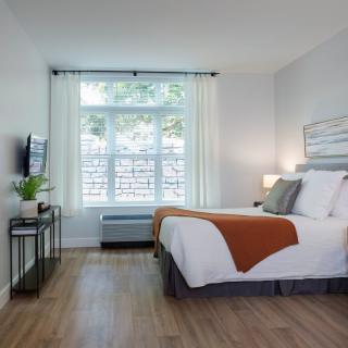A modern and minimalist bedroom with a large window, hardwood floors, and tasteful decor.