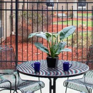 A cozy outdoor patio setup with a table, two chairs, a potted plant, and two cups.