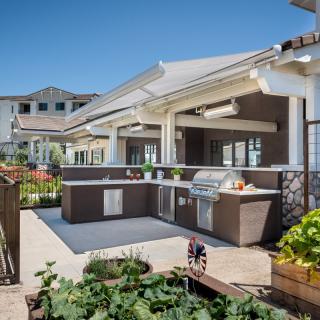 A modern outdoor kitchen and patio area with a grill, surrounded by garden landscaping on a sunny day.