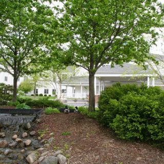 A serene garden scene showcasing lush green trees and well-maintained bushes.