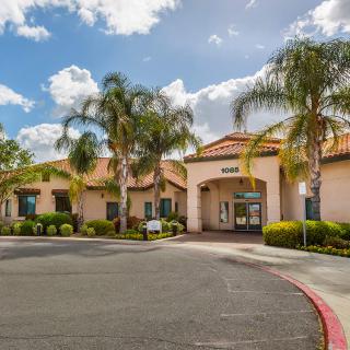 A sunny exterior view of a building surrounded by palm trees with a clear blue sky in the background.