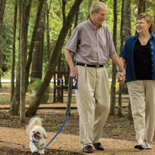 A couple walking their dog in a wooded park.
