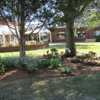 A landscaped garden area with trees and plants in front of a brick building.