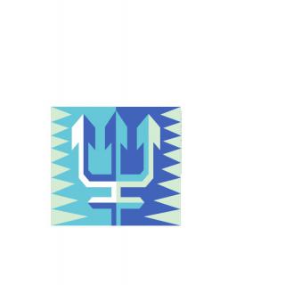 TridentCare Health Services,  Inc.