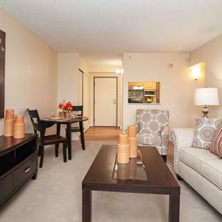 A cozy living and dining area with modern furniture and decor.