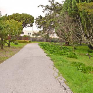 A peaceful pathway surrounded by trees and greenery in a park setting.