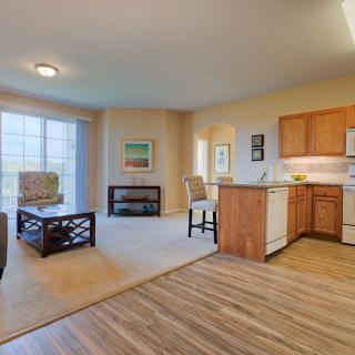 A spacious open-floor apartment featuring a cozy living room and a modern kitchen with ample natural light.